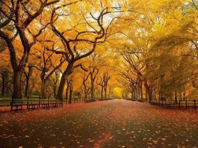 校园篮球技巧挑战赛举行，选手各显神通