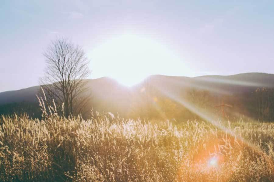 校园篮球技巧挑战赛举行，选手各显神通