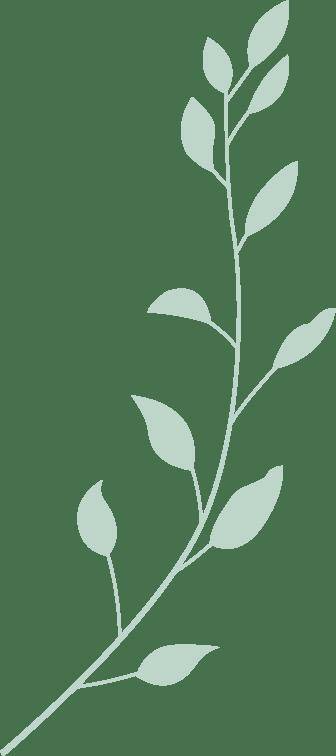 见面会精彩集锦新鲜出炉!